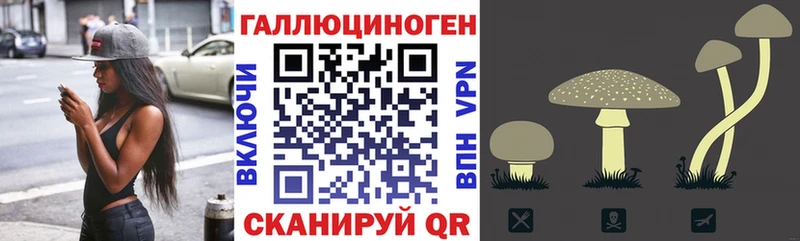 Галлюциногенные грибы ЛСД  omg ссылка  Устюжна 