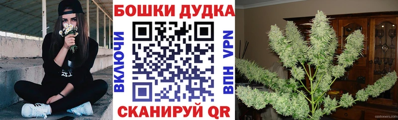 купить Устюжна Шишки марихуана Bruce Banner